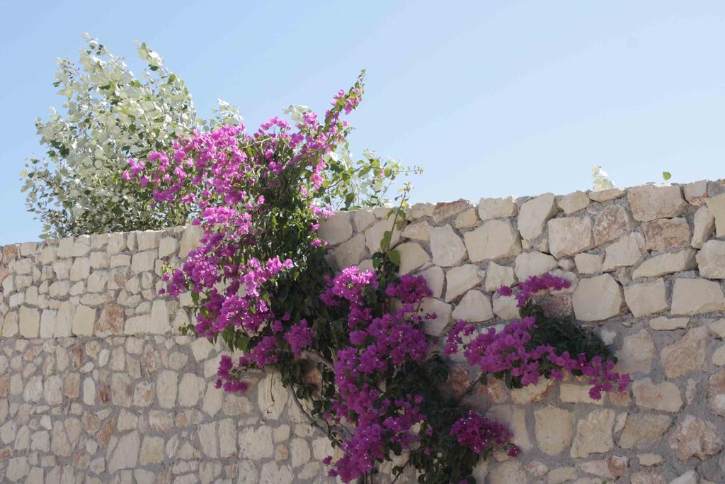 Crete View Villa Marathi  Oda fotoğraf